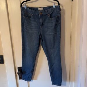 Molly & Isadora Ankle Skinny Jeans - Barely Worn